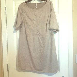 XL Piphany Roosevelt top. NWT!